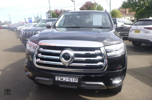 2024 GWM Ute Cannon-L in Other