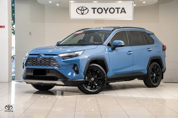 2023 Toyota RAV4 Cruiser in Other