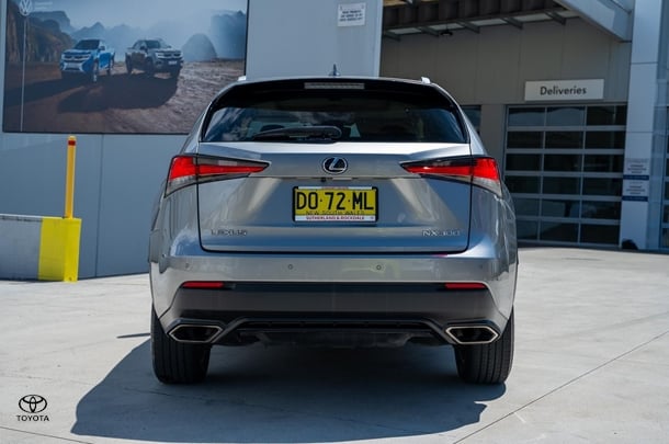 2020 Lexus NX Luxury in Silver