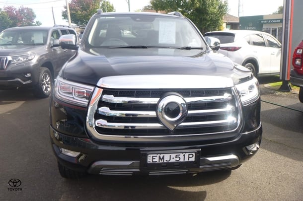 2024 GWM Ute Cannon-L in Other