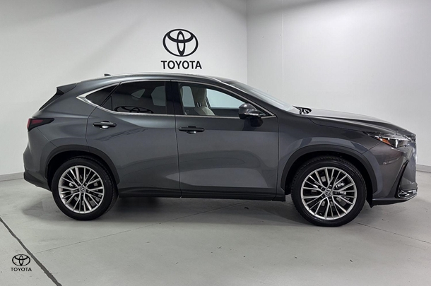 2024 Lexus NX NX350h Sports Luxury in Black