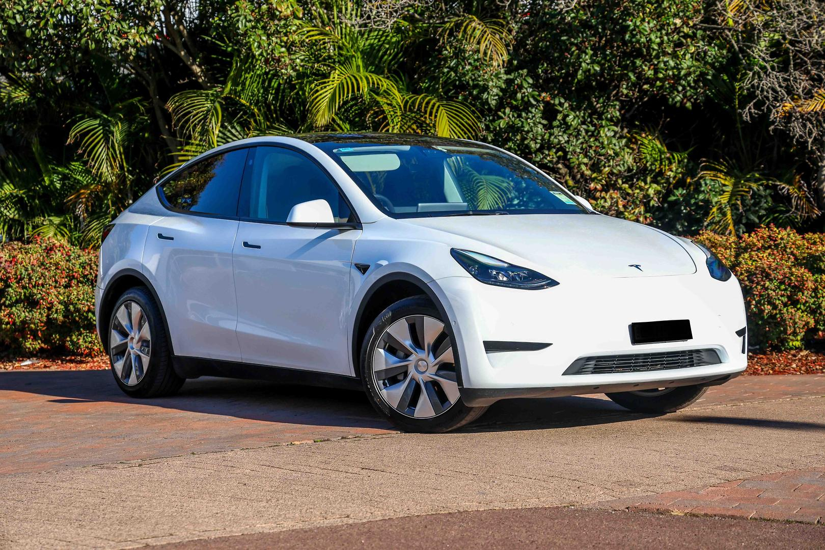 Image of 2023 TESLA MODEL Y Rear-Wheel Drive