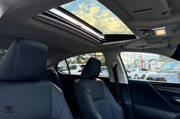 2024 Lexus ES ES250 Luxury in Silver