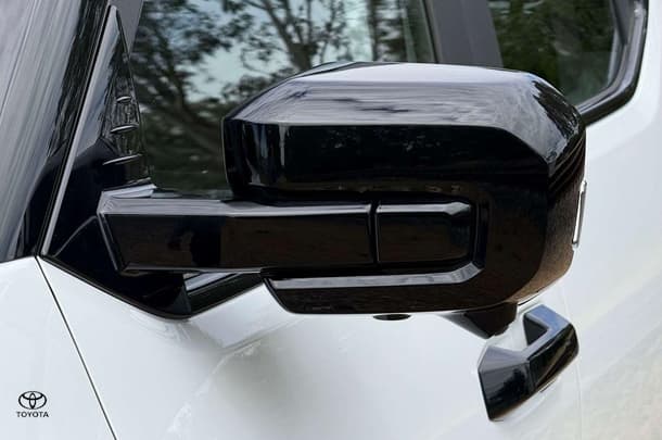 2025 LDV Terron 9 Origin in White