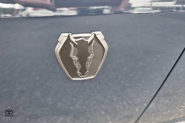 2024 Ford Mustang Dark Horse in Black