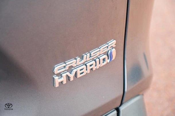 2024 Toyota RAV4 Cruiser in Grey