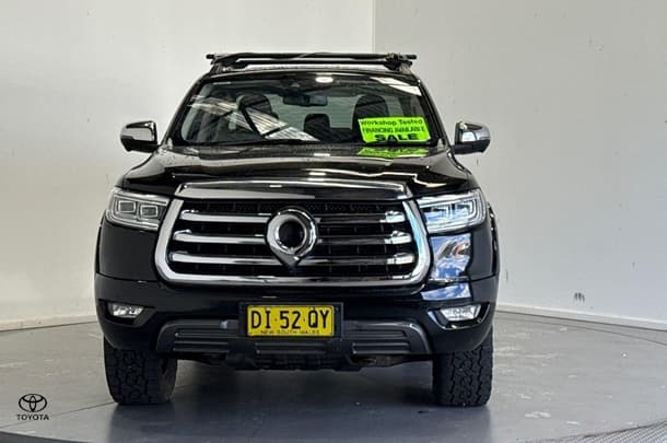 2021 GWM Ute Cannon-X in Other