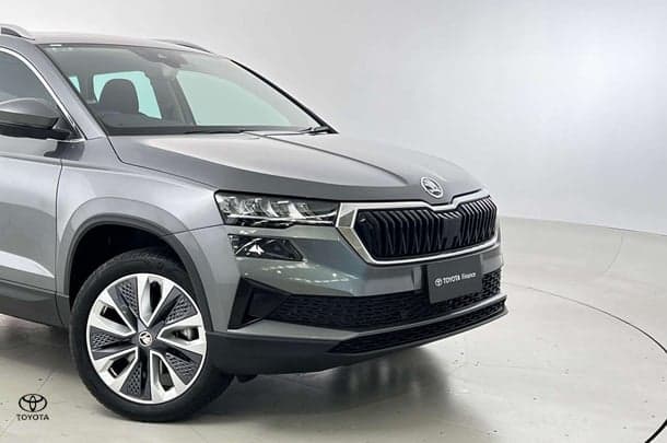 2023 SKODA Karoq 110TSI Style in Grey