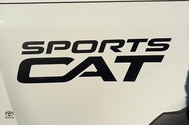 2018 Holden Colorado Storm in White