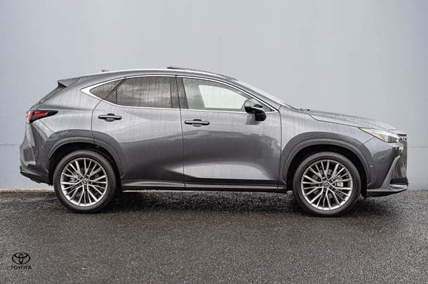 2024 Lexus NX NX350h Sports Luxury in Grey
