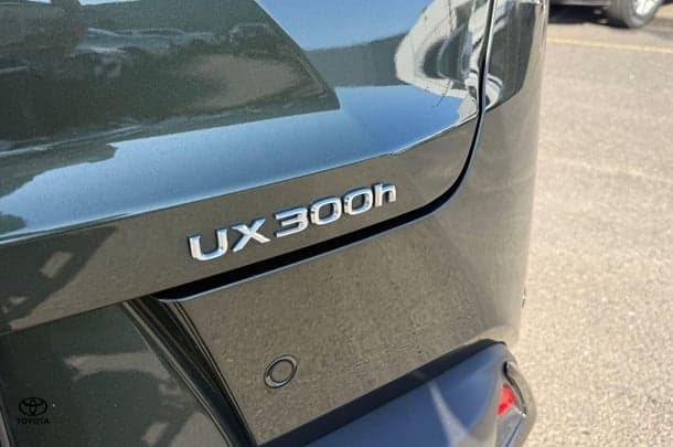 2025 Lexus UX UX300h F Sport in Green