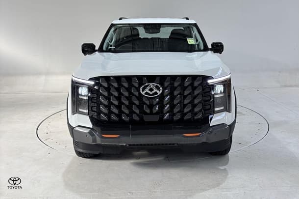 2025 LDV Terron 9 Origin in White
