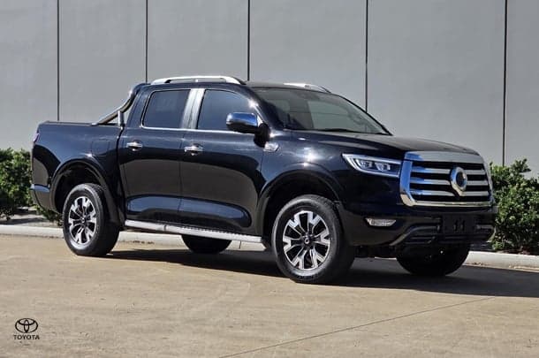 2022 GWM Ute Cannon-L in Other