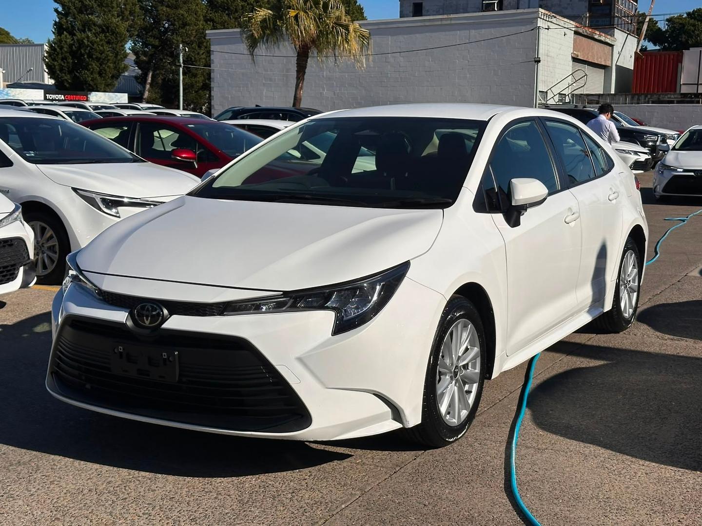 2024 Toyota Corolla Ascent Sport in White