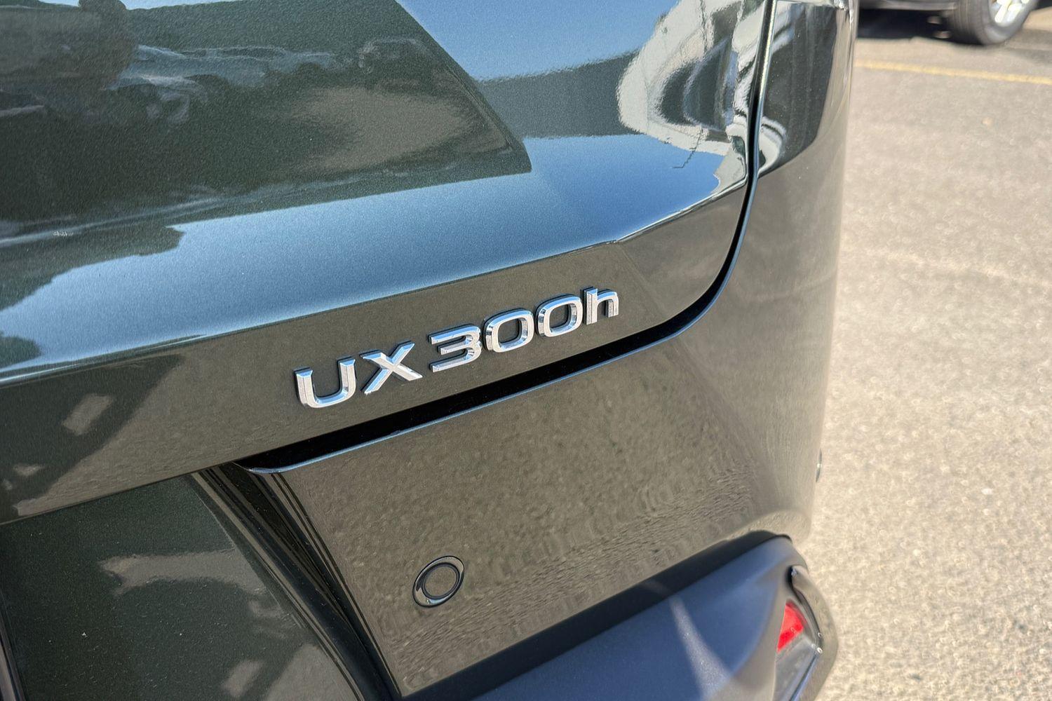 2025 Lexus UX UX300h F Sport in Green