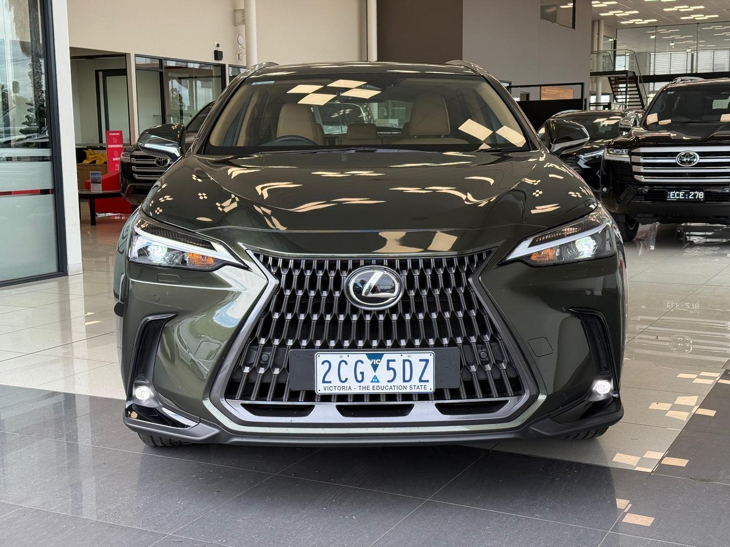 2025 Lexus NX NX350h Luxury in Green