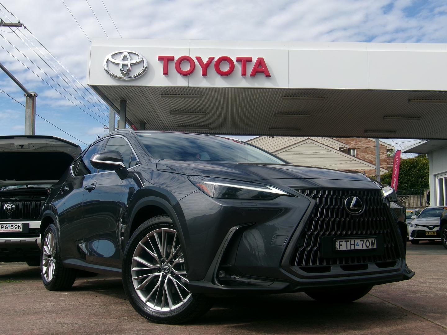 2025 Lexus NX NX350h Sports Luxury in Grey
