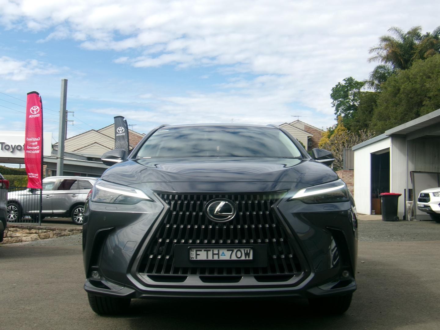 2025 Lexus NX NX350h Sports Luxury in Grey