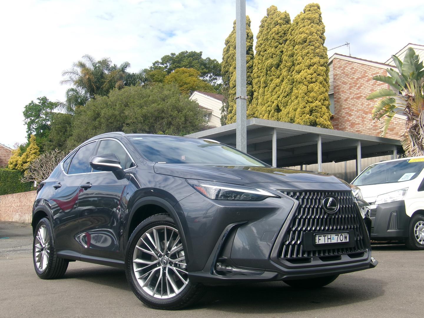 2025 Lexus NX NX350h Sports Luxury in Grey