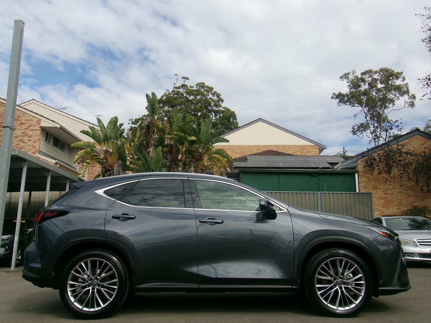 2025 Lexus NX NX350h Sports Luxury in Grey