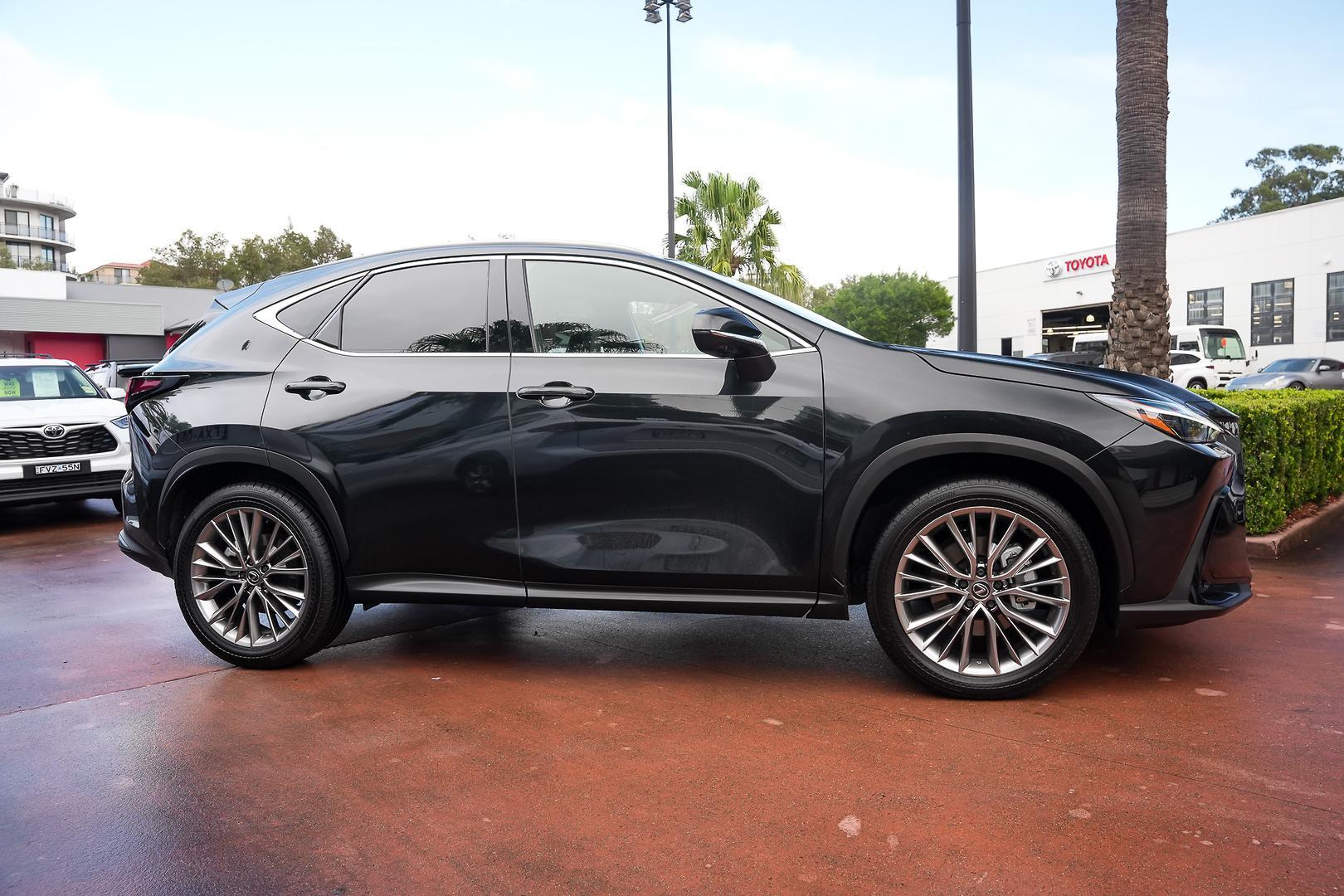 2025 Lexus NX Sports Luxury in Black