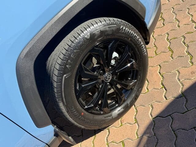 2024 Toyota RAV4 Cruiser-AWD in Blue