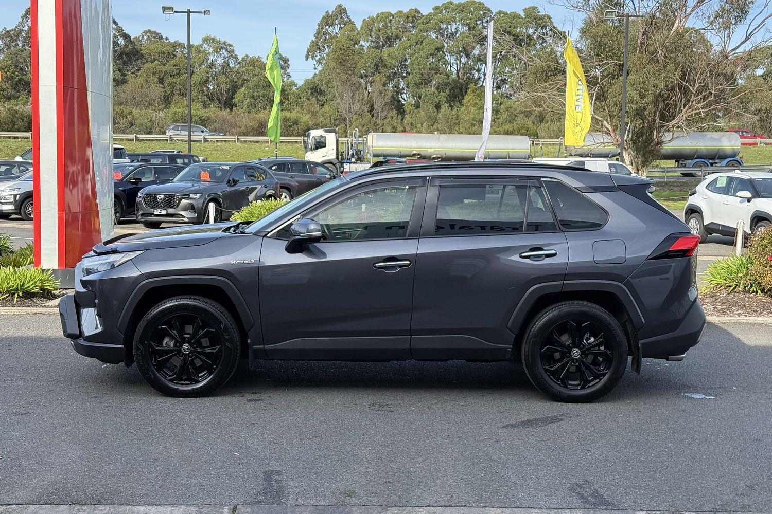 2024 Toyota RAV4 Cruiser in Silver