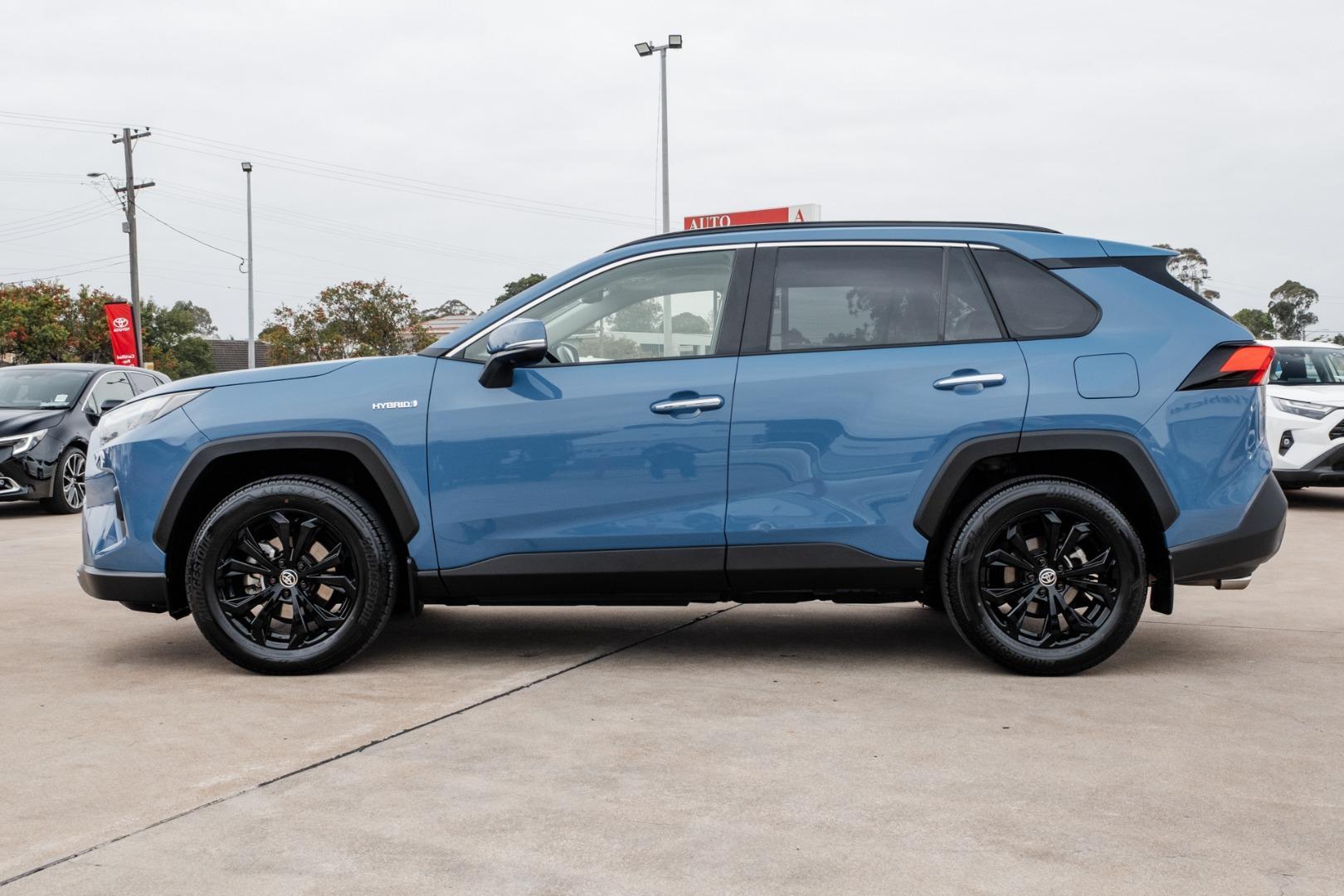 2024 Toyota RAV4 Cruiser 2WD in Blue