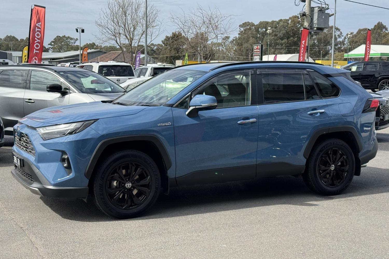 2024 Toyota RAV4 Cruiser 2WD in Blue