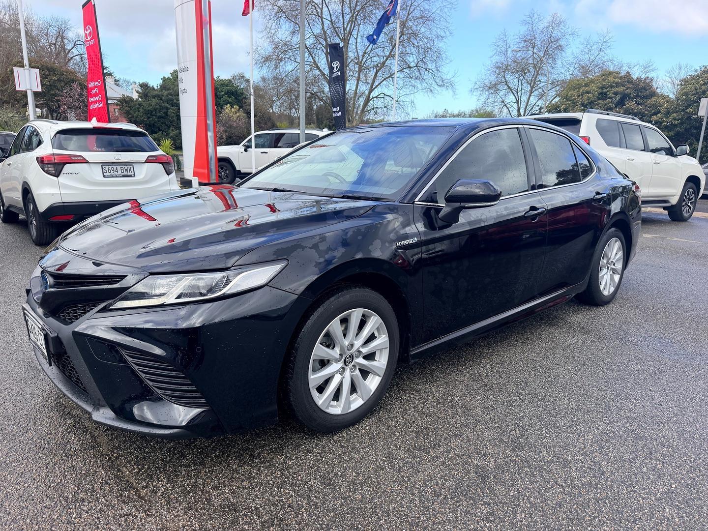 2019 Toyota Camry Ascent Sport in Black