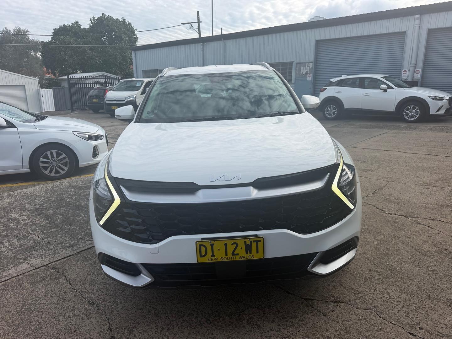 2024 Kia Sportage S in Clear White (Ud)